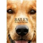 Bailey - Ein Freund fürs Leben (Blu-ray)