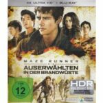 Maze Runner 2 - Die Auserwählten in der Brandwüste (DVD)