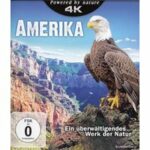Amerika (4K UHD)