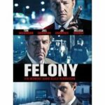 Felony (Blu-ray)
