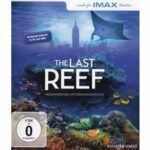 IMAX - The Last Reef (4K UHD)