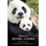 Born in China (DVD)