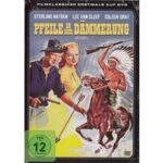 Pfeile in der Dämmerung (DVD)