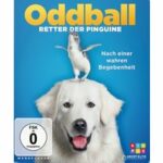 Oddball (Blu-ray)