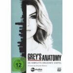 Grey's Anatomy - Staffel 13 - Disc 1 - Episoden 1 - 4 (DVD)