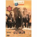 Discovery Channel - Königreich der Elefanten (DVD)