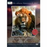 Die schönsten Naturreisen der Welt - Südafrika & Weiße Haie erleben (DVD)