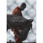 The Mustang - Der Mustang (DVD)