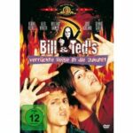Bill & Ted 2 - Bill & Teds verrückte Reise in die Zukunft (DVD)