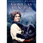 Gorillas im Nebel (DVD)