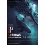 Sea of Shadows (DVD)