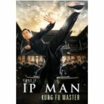 Ip Man - Kung Fu Master (Blu-ray)