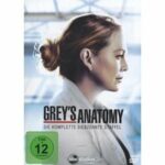 Grey's Anatomy - Staffel 17 - Disc 1 - Episoden 1 - 4 (DVD)