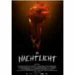 Im Nachtlicht (DVD)