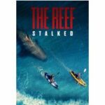The Reef 2 - Stalked (Blu-ray)
