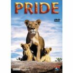Pride (DVD)