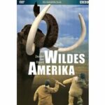 Wildes Amerika (DVD)