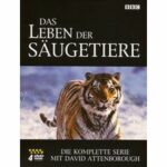 Das Leben der Säugetiere - Disc 1 - Episoden 1 - 3 (DVD)