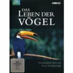 Das Leben der Vögel - Disc 1 - Episoden 1 - 4 (DVD)