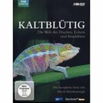 Kaltblütig - Disc 1 - Episoden 1 - 3 (DVD)