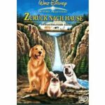 Homeward Bound - Zurück nach Hause (DVD)