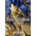 Jäger der Wildnis - Wölfe (DVD)