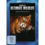Ultimate Wildlife - Volume 8: Grasflächen und Blumen & Fortbewegung (DVD)