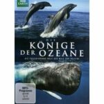 Die Könige der Ozeane (Blu-ray)