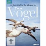 Die fantastische Reise der Vögel - Disc 1 - Episoden 1 - 3 (DVD)