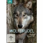 BBC Earth - Wolfsrudel (DVD)