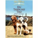 Homeward Bound 2 - Ein tierisches Trio (DVD)