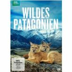 Wildes Patagonien (Blu-ray)