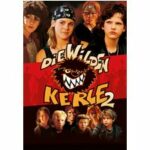 Die Wilden Kerle 2 (DVD)