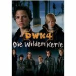 Die Wilden Kerle 4 (DVD)