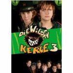 Die Wilden Kerle 3 (DVD)