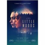 Little Woods (DVD)