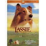 Lassie - Freunde fürs Leben (DVD)