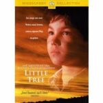 Little Tree - Indianersommer (DVD)