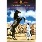 Der schwarze Hengst kehrt zurück (DVD)
