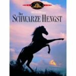 Der schwarze Hengst (DVD)