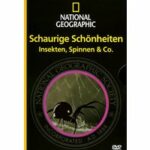 National Geographic - Schaurige Schönheiten (DVD)