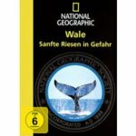 National Geographic - Wale: Sanfte Riesen in Gefahr (DVD)