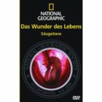Das Wunder des Lebens - Säugetiere (DVD)