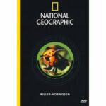 National Geographic - Killer-Hornissen (DVD)