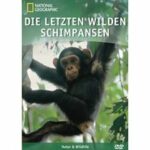National Geographic - Die letzten wilden Schimpansen (DVD)