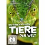 National Geographic - Die verrücktesten Tiere der Welt (DVD)