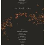 The Dark Side (DVD)