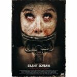 Silent Scream (DVD)