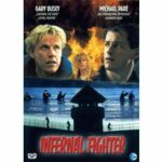 Infernal Fighter (DVD)