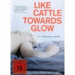 Like Cattle Towards Glow - Englische Originalfassung mit deutschen Untertiteln (DVD)